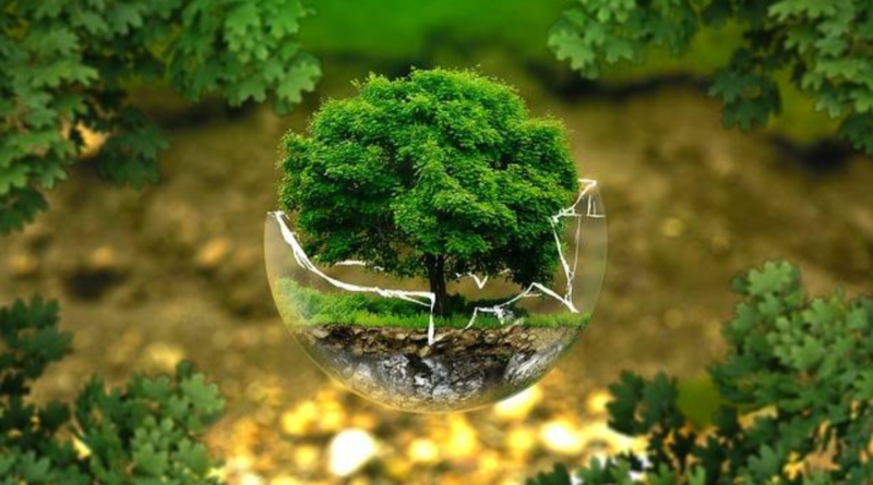 image-developpement-commerce-durable
