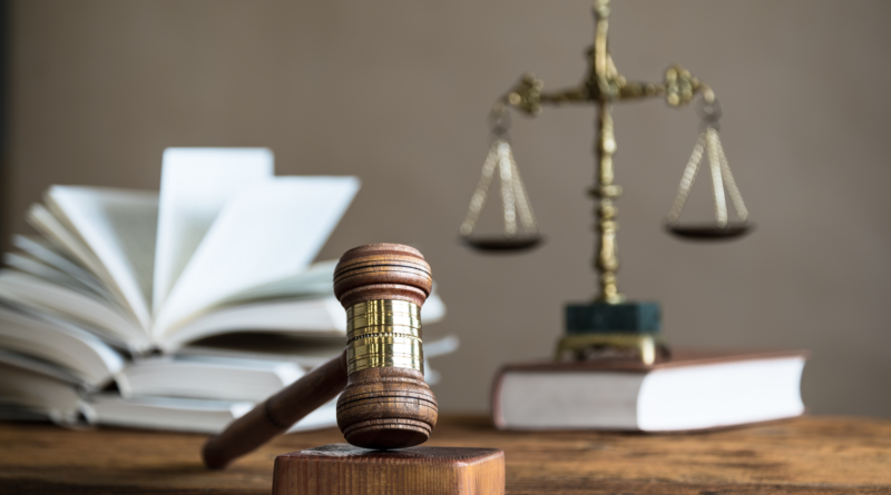 droit entreprise debouches