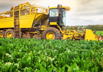 Plus de 30 000 places à pourvoir dans l’enseignement agricole grâce à Parcoursup