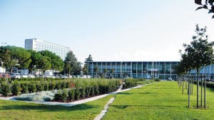 universite toulouse nouveau nom