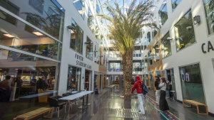 rennes school of business tremplin