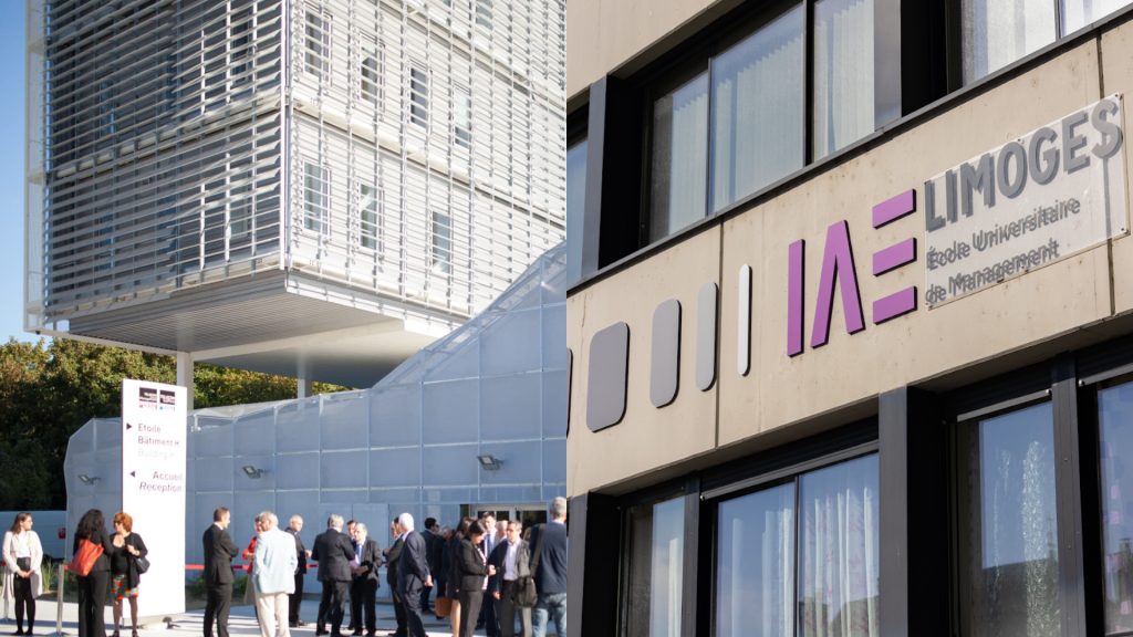 IAE LIMOGES IMT BS FORMATION ALTERNANCE MANAGEMENT DE LINNOVATION