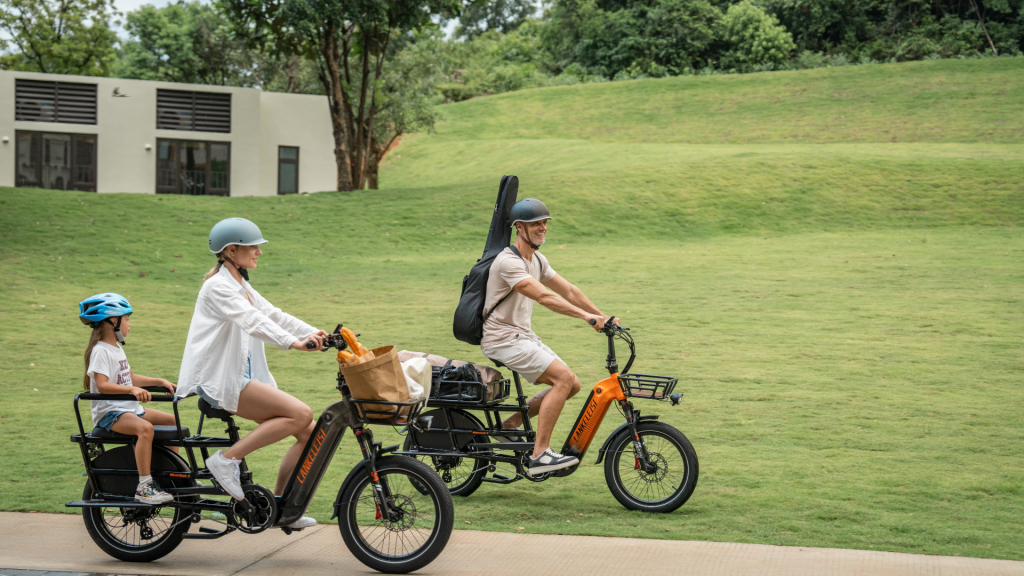 VELO CARGO ELECTRIQUE